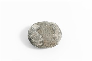 Image description is not available for 2010.3.15